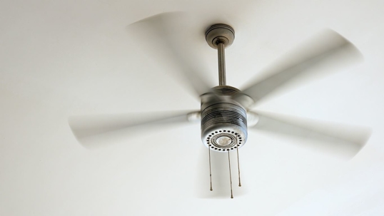 Ceiling fan